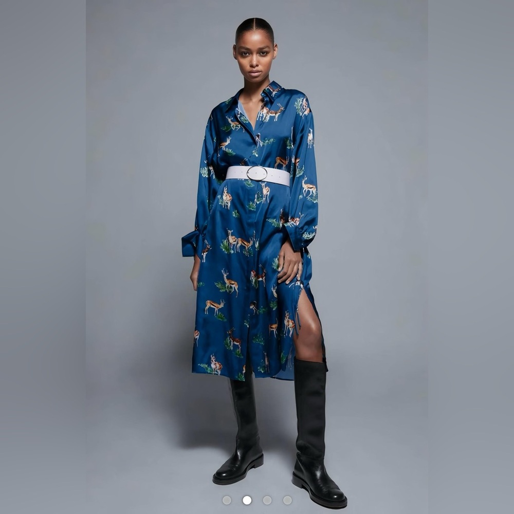 Zara Blue Printed Long Sleeve Midi Shirt Dress